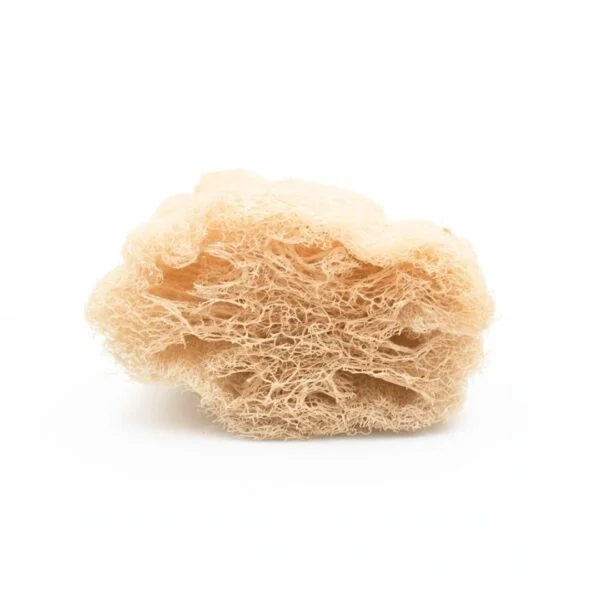 Veggie Sponge - 100% Natural Loofah